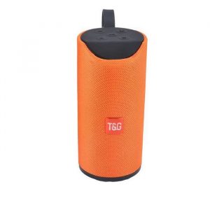 Haut parleur Bluetooth TG 113 sans fil