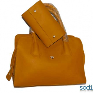 Sac à main grande dame marron 2pièces ARMANI -DB0005
