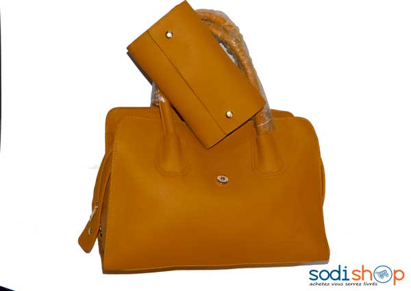 Sac à main grande dame marron 2pièces ARMANI -DB0005