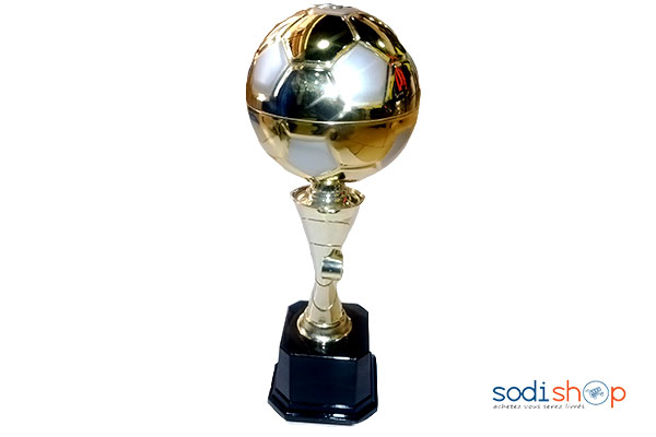 Coupe trophée avec ballon de fer en garantie taille moyenne SS0015