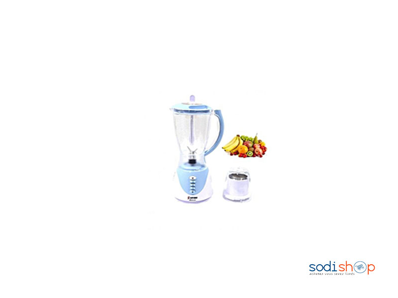 Mixeur Sayonz 2 en 1 SZJ-317 EH0020