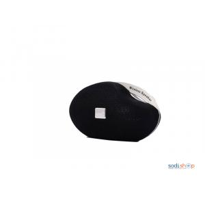 Mini speaker ou Haut parleur Sans Fil - WSA-840  avec port Carte Mémoire - USB et Radio FM