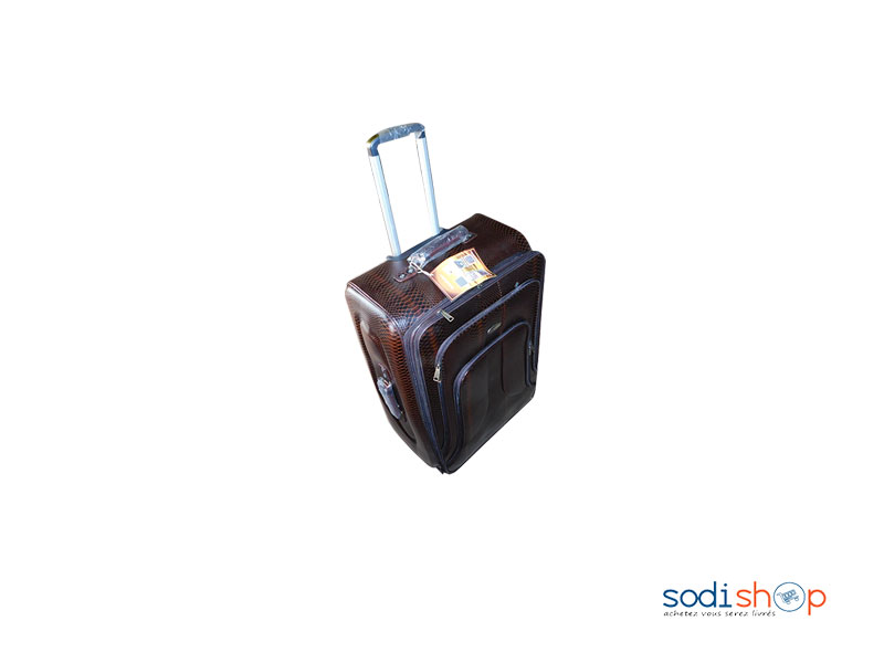 Valise à Roulette Double Trolley Couleur Marron Petit BG0053