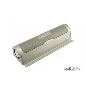 Haut-Parleur Rechargeable et Connectable -MLKJ-ML-83U-AN0051