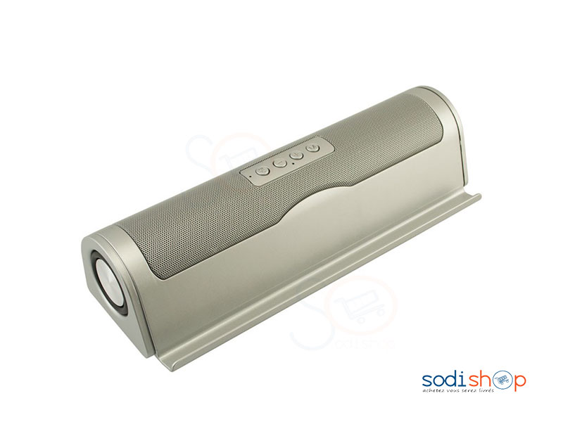 Haut-Parleur Rechargeable et Connectable -MLKJ-ML-83U-AN0051