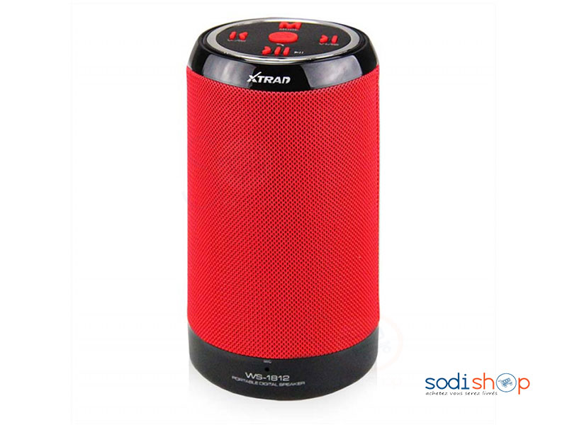 Haut-parleur de grave stéréo sans fil Bluetooth portable- WS-1812-AN0051