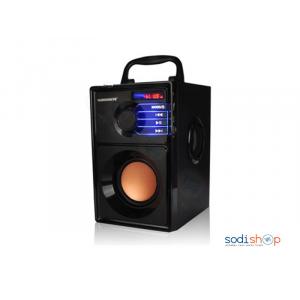 Haut-Parleur Boomer Bluetooth Rechargeable Marque Vaensong A10 SO0049