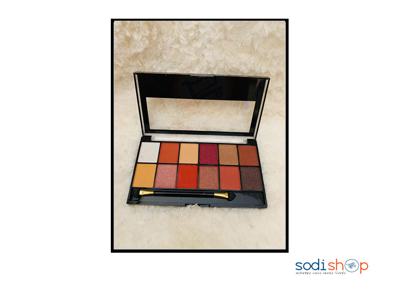 Far à Paupière Maquillage Yeux Fard 12 Couleurs TS0056