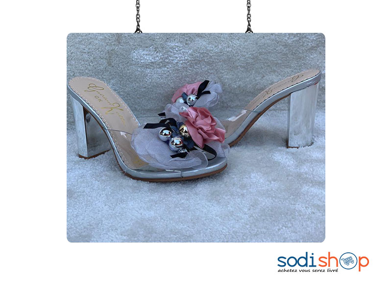 Chaussure à Talon Carré Pour Femme Couleur Grise Transparente AU0059