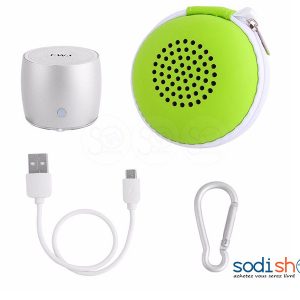 Mini Haut-Parleur Bluetooth EWA-A103 + Pochette
