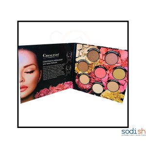 Palette de Fard à Joue 8 Couleurs Maquillage Pour Femme TS0056