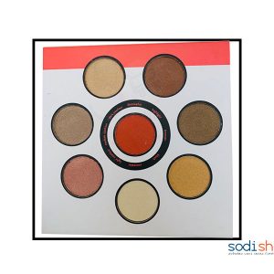 Fond de Teint Correcteur et Surligneur Palette 8 Couleurs TS0056