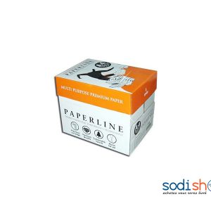 Papier RAM PAPERLINE, Format A4, Qualité Supérieure - Carton de 5 Rame SM0081
