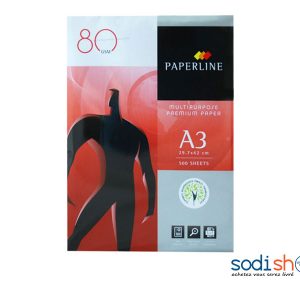Papier RAM PAPERLINE, Format A3, Qualité Supérieure - Carton de 5 Rame SM0081