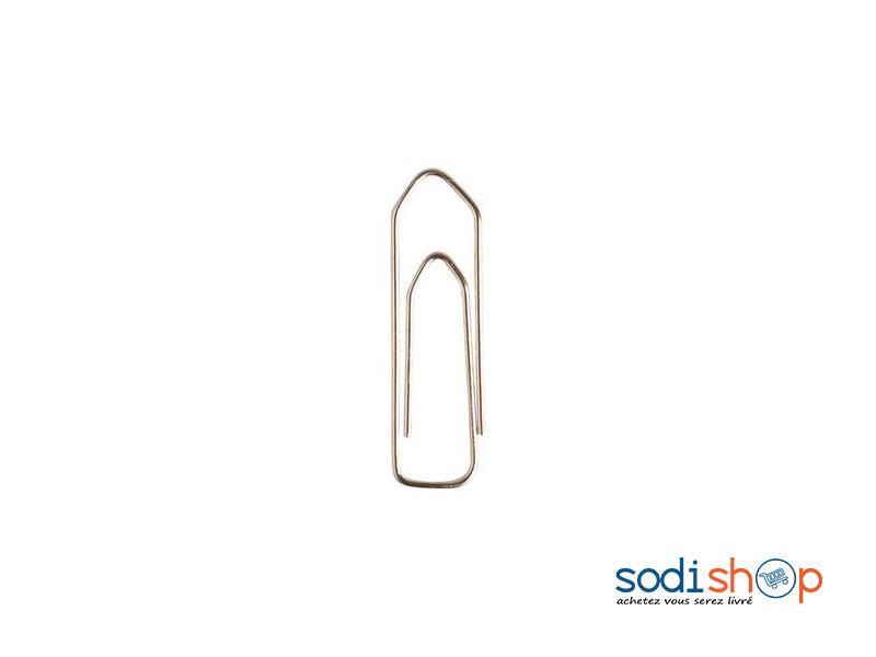 Boite de Trombones 32 mm - En Métal Inoxydable, Paquet de 10 Boites SM0081