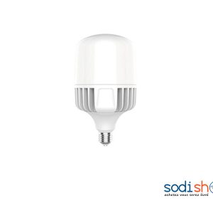 Ampoule LED à Vice 30 Watt KKS0093