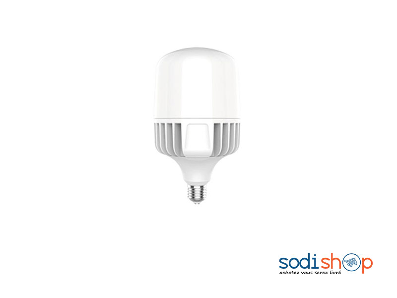 Ampoule LED à Vice 30 Watt KKS0093