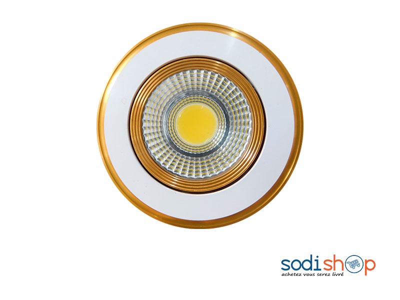 Spot Panel Ampoule LED Puissante KKS0093
