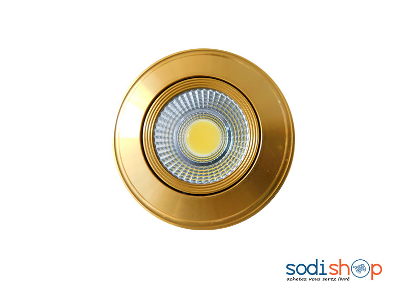 Spot Plafonnier Avec Ampoule LED Pour Décoration Intérieur Couleur Dorée KKS0093