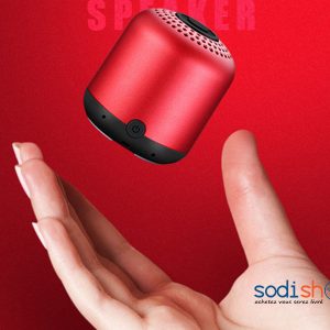 Q11 Mini Haut-parleur Bluetooth Rechargeable - Microphone MicroSD SODI00