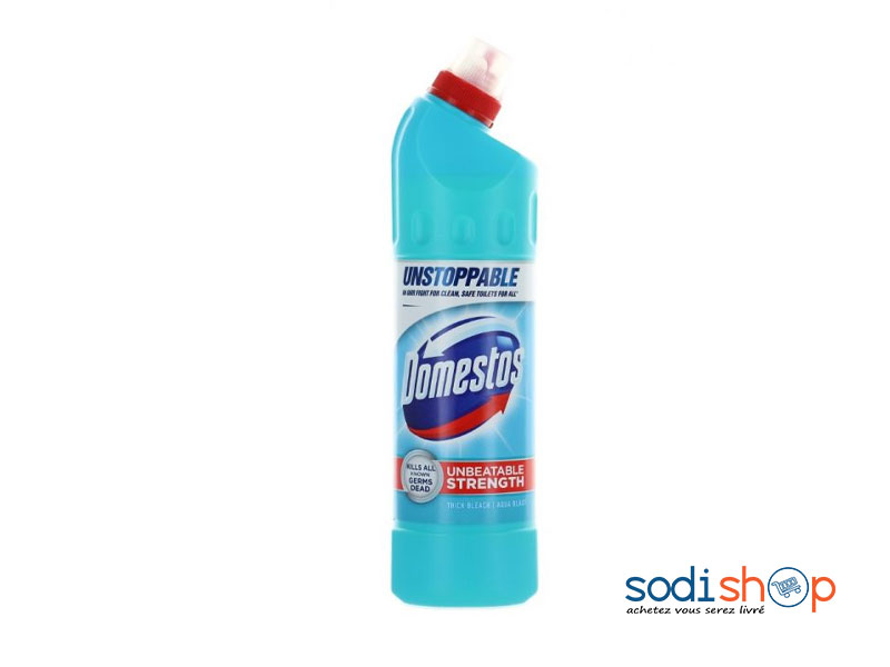 Gel Javel 100%Désinfectant Pour WC et Fosses Sceptiques - Domestos 1L RD0084