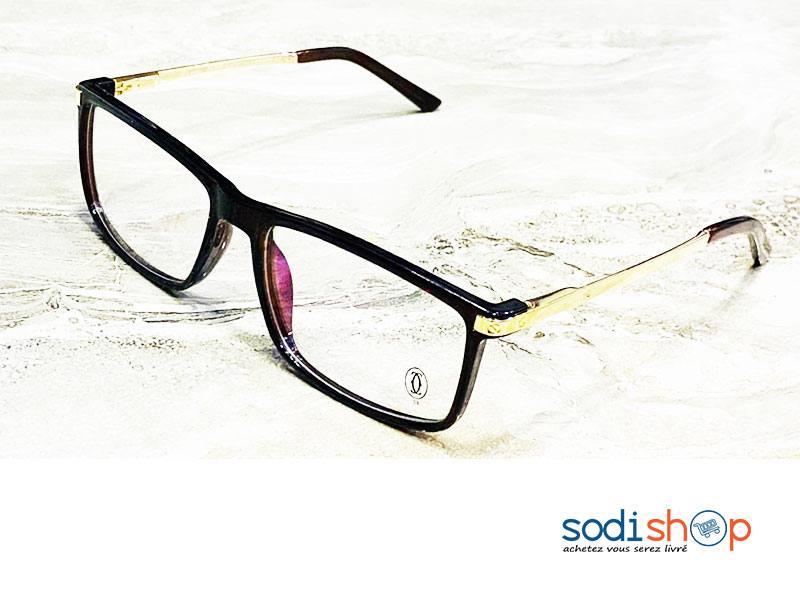 Paire de Lunette Non Correcteur Branche Doré Couleur Noire DL00106