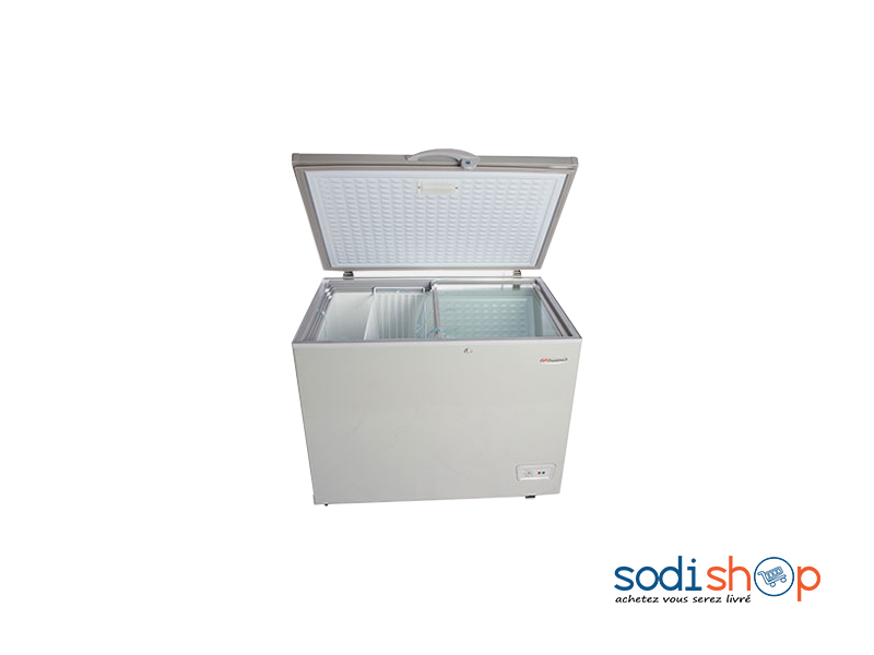 Congélateur Coffre BD-280 Type Horizontal - Victoria 255 Litres DR00110