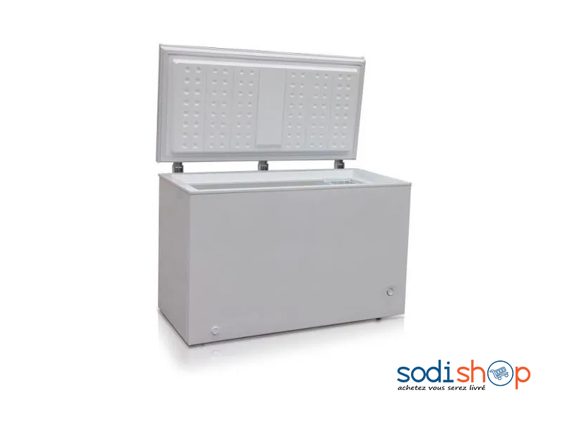 Congélateur Horizontal Victoria WS-300C - Haute Qualité 291 Litres DR00110