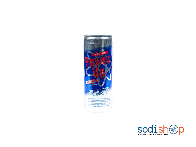 Boisson Energétique Power UP 250ml KF00116