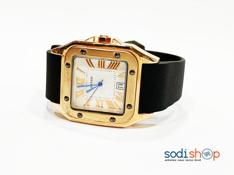 Cartier Montre Pour Homme en Acier Argent Bleu DI0026