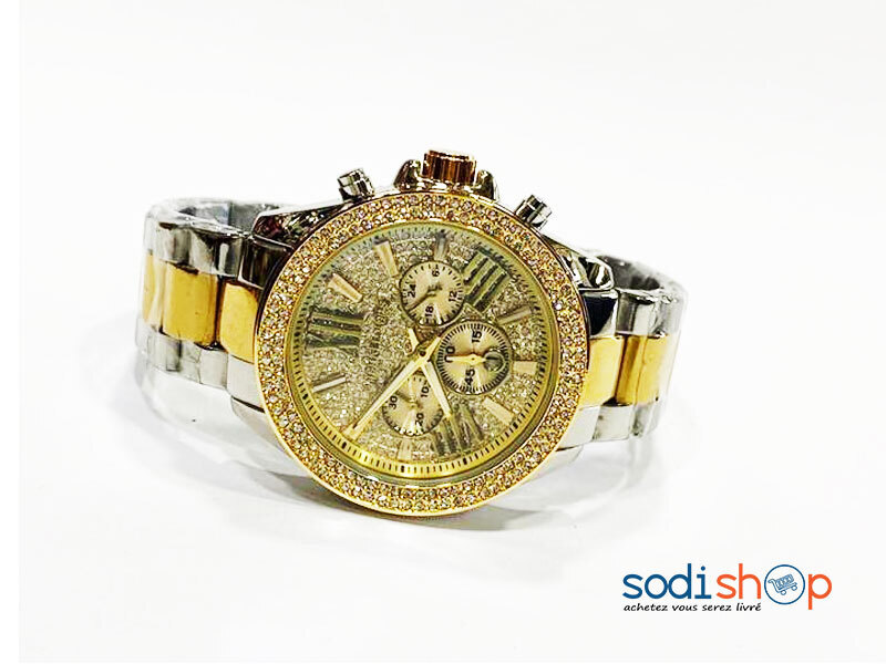 Montre de Luxe Pour Homme Argent et Doré DI0026