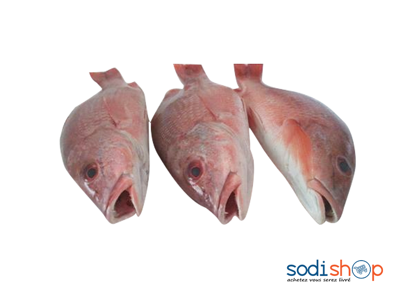 Poisson de Mer Rouget Du Sénégal Taibin Bléni - 1 kg TR00120