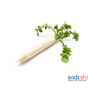 Tige de Navet Frais - Légumes Long FO00118