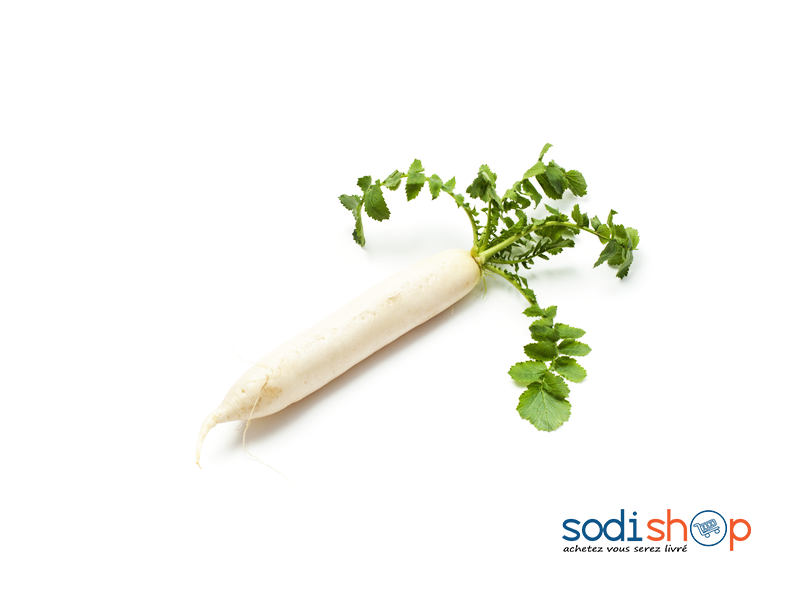 Tige de Navet Frais - Légumes Long FO00118