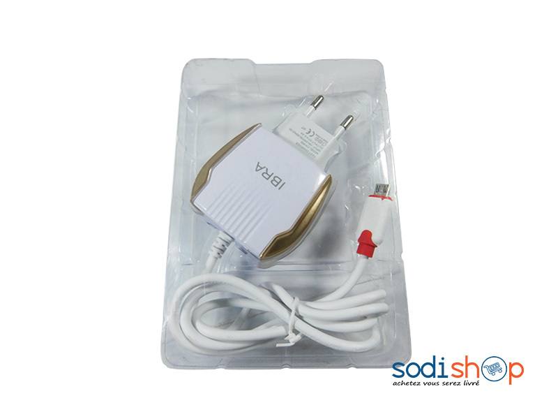 Chargeur USB Type Micro USB + Deux ports USB IB00131
