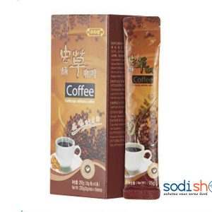 Café LONGRICH  - Produit Tonifiant Cordyceps Militaris Paquet de 12 Sachets LO00119