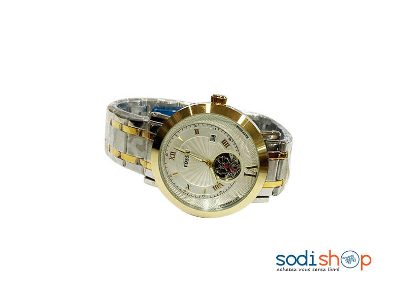 Montre Homme en Acier Argenté et Doré Marque Fosil DI0026