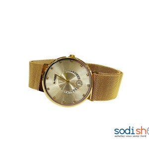 Montre Rado Bracelet en Maille Resserré Pour Femme DI0026