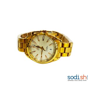 Omega Seamaster Montre Homme Design Stylé - Couleur Or DI0026