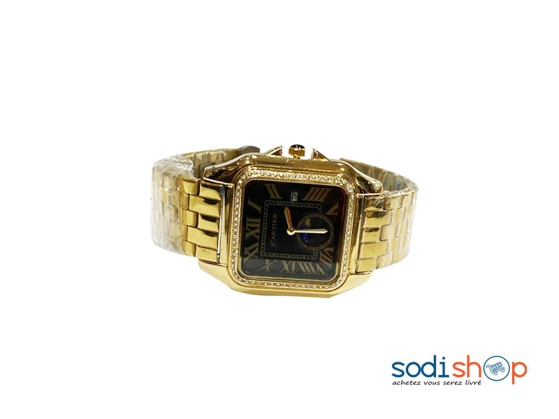 Cartier Montre Homme - Couleur Or Haute Qualité DI0026