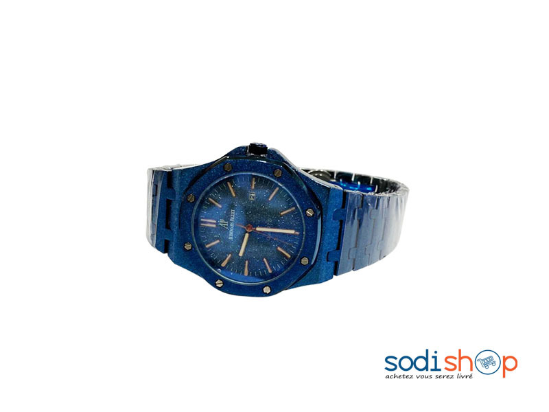 Audemars Piguet Montre Homme - Couleur Bleu Haute Qualité DI0026