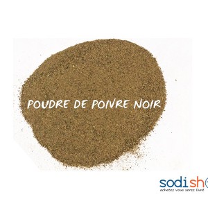 Poudre de Poivre Sachet de 1kg - Épice Pour Bouillon Assaisonnement LE00142