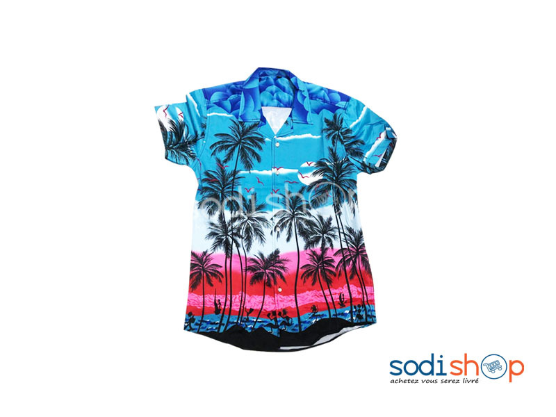 Chemise Hawaïenne Multicolore - Haute Qualité Pour Homme BK0096