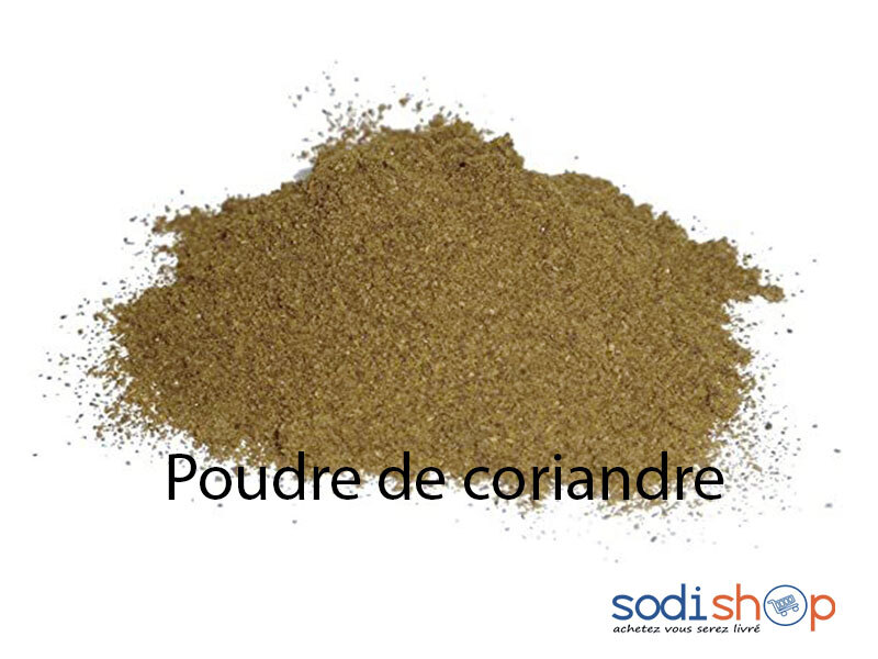 Poudre de Coriandre 100g - Assaisonnement Épice en Sachet LE00142
