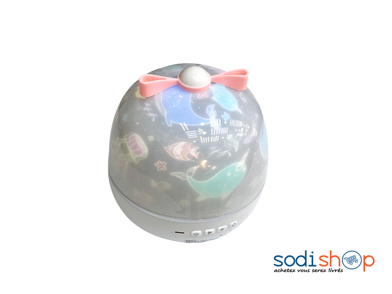 Jeu de lumière avec Bluetooth et audio dream wish box - SODI00