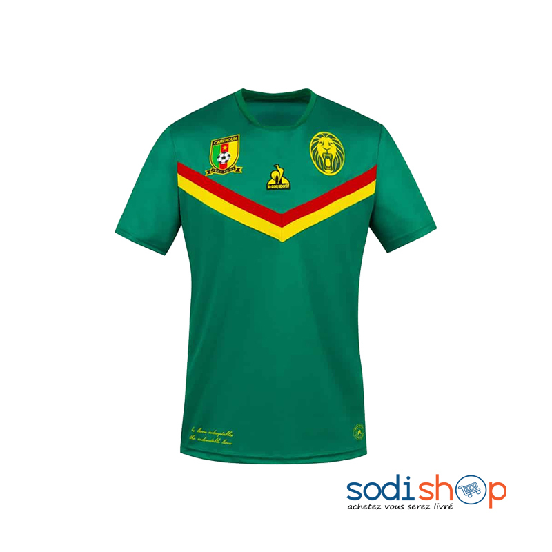 Equipe Nationale du Cameroun - Maillot de Football Domicile 2020-2021 BK0096
