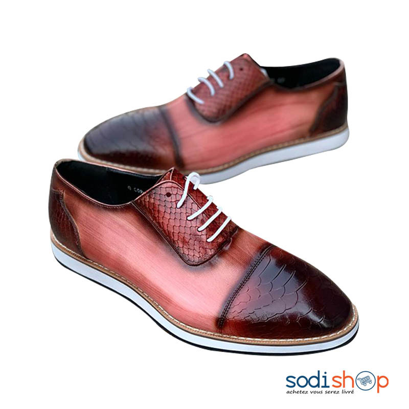 Chaussure Mocassin - Design Stylé Marron et Noir SEY00201