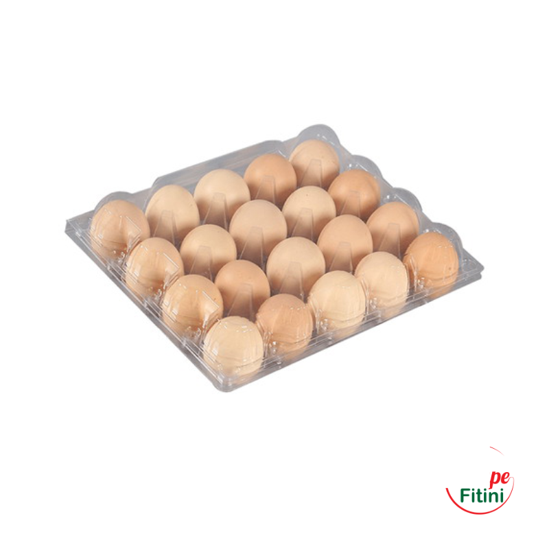 Œufs de Poule Taille Moyenne - Alvéole de 20 Unités FTM00228
