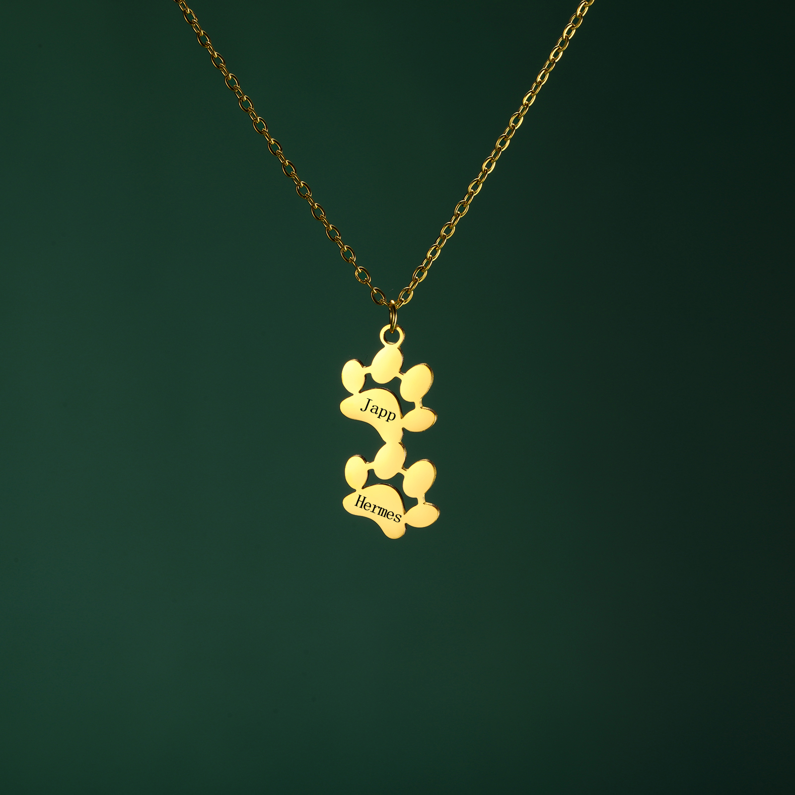 Lemegeton Collier personnalisé en acier inoxydable avec nom de patte de chien et de chat, bijoux commémoratifs pour animaux de compagnie, accessoires JOChild pour femmes AI0001