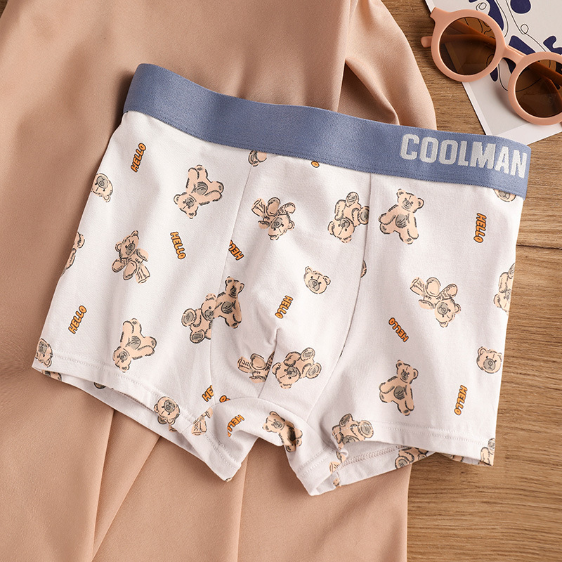 EXILIENS-Sous-vêtements en coton pour hommes, marque Bear, Callogging Welfare los Slips zones bre, Boxers pour hommes, Culottes pour hommes M-3XL K45-JH AI0001 – Image 4